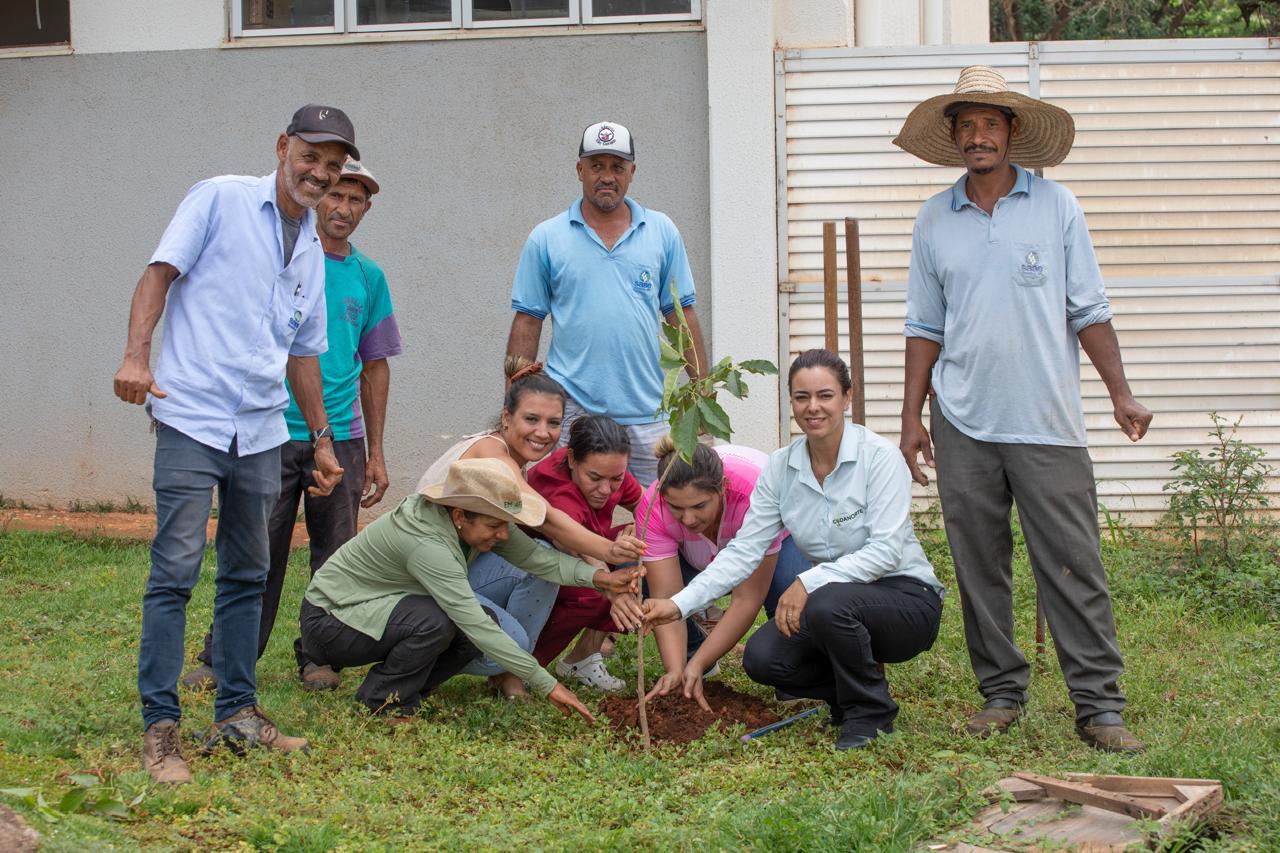 Imagem Noticia: e9944cf4388f753ef47e2406bdadf51b.jpg